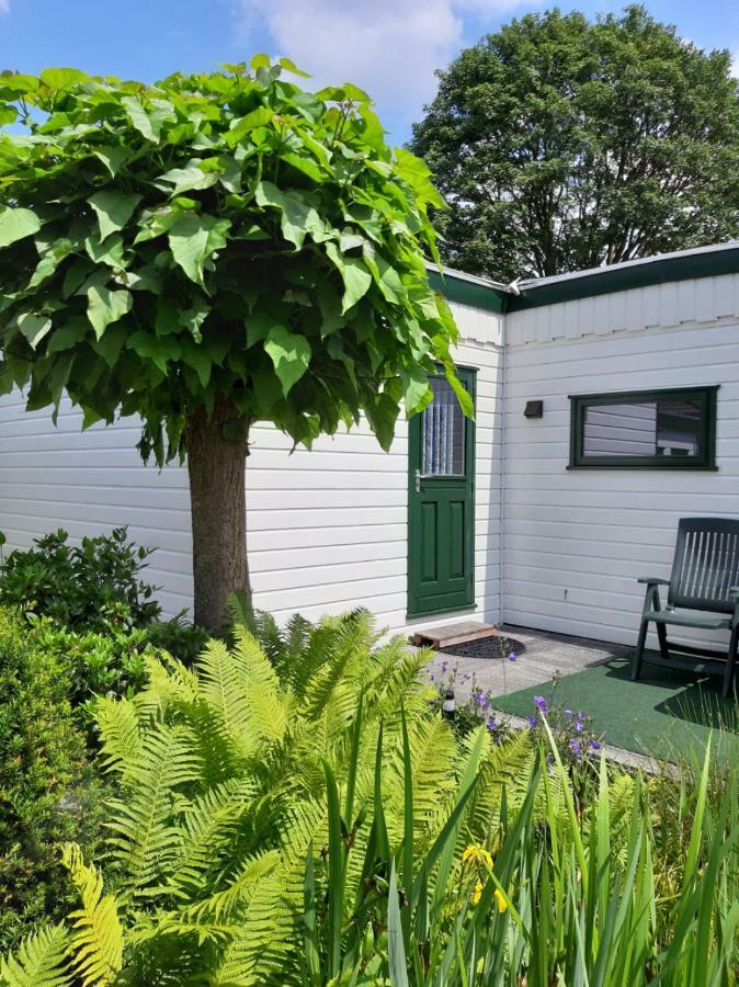 Zonnig Zomerhuis Krachtighuizen Exterior foto
